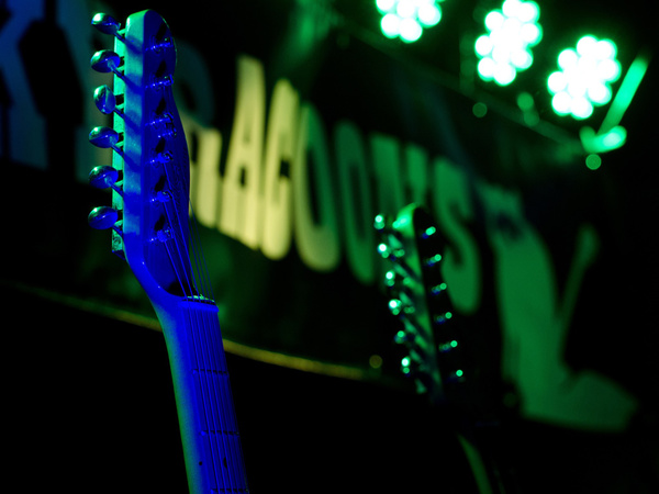 The Rocky Racoons GbR