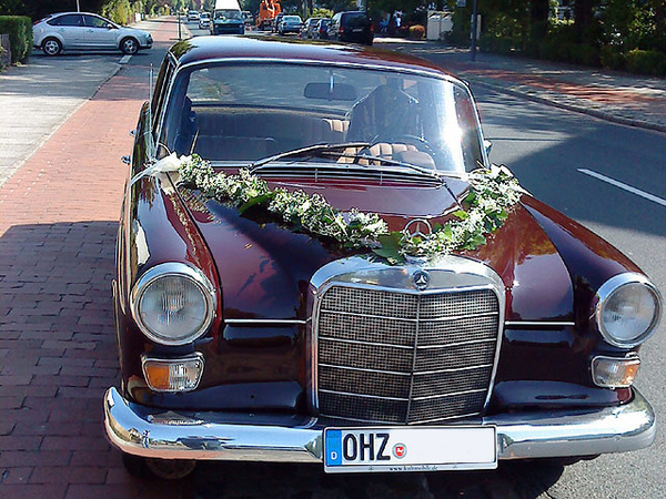 Blumenhaus Marotzke