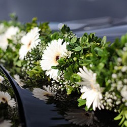 Der Blumenladen Hartmann