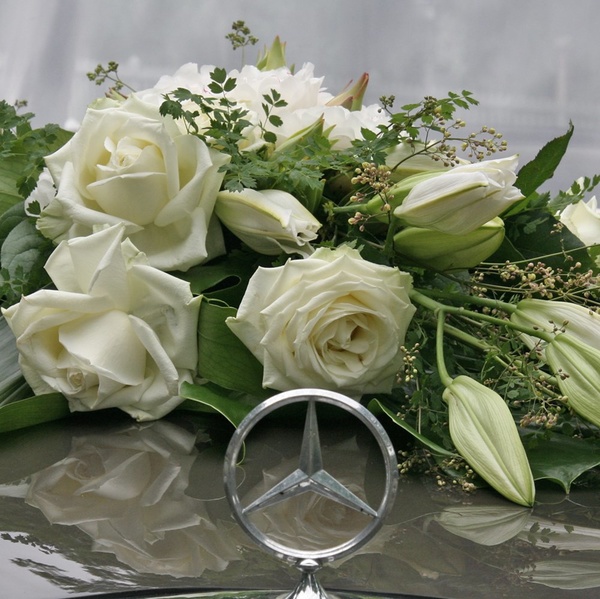 ZAUBER DER JAHRESZEITEN