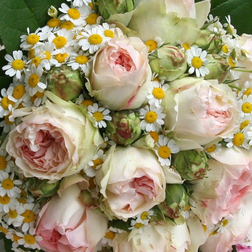 ZAUBER DER JAHRESZEITEN