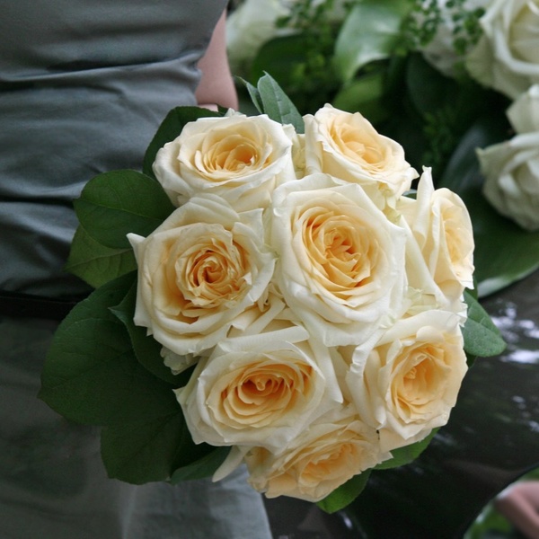 ZAUBER DER JAHRESZEITEN