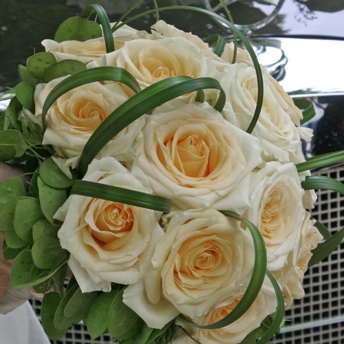 ZAUBER DER JAHRESZEITEN