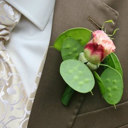 ZAUBER DER JAHRESZEITEN