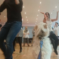 Die Tanzschule am Deutschen Theater