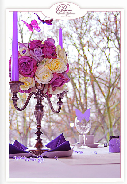 Princess Dreams