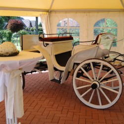 Event-Dekoration Anna