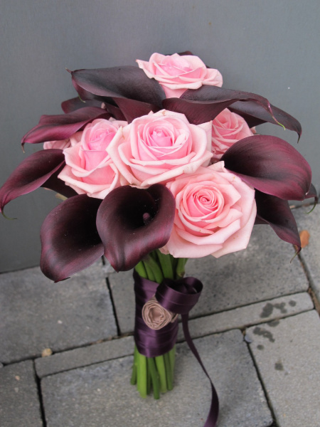 Rosa Rosenstrauß mit Callas in Bordeaux