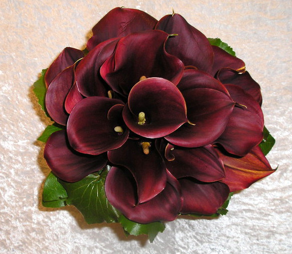 Hochzeitsstrauß mit Callas in dunklem Rot