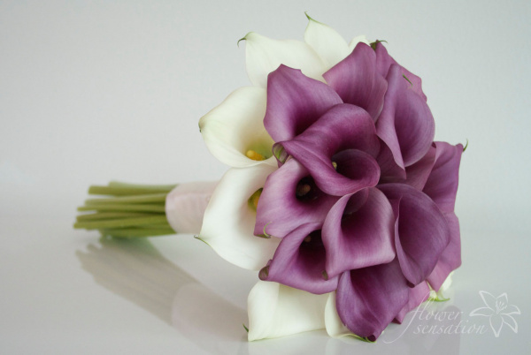 Brautstrauß mit lila und weißen Calla-Blumen